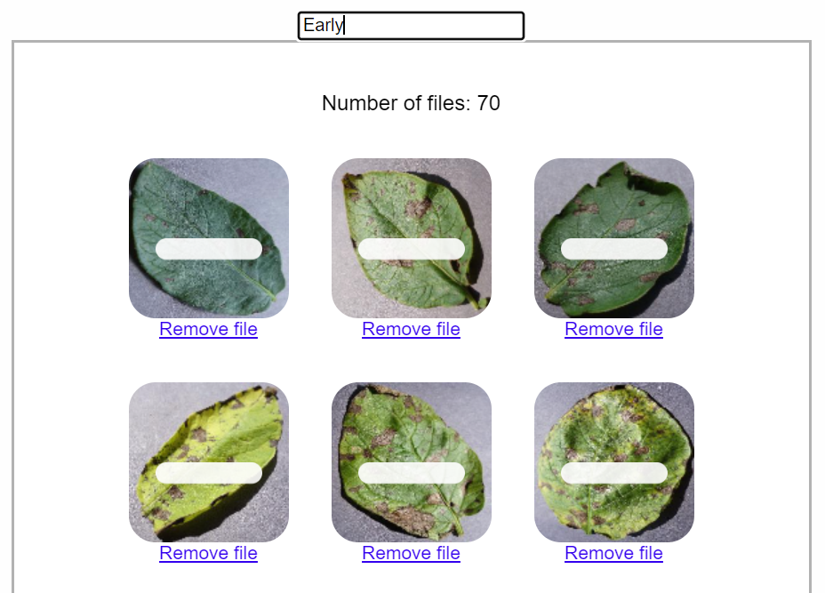 Example Dataset